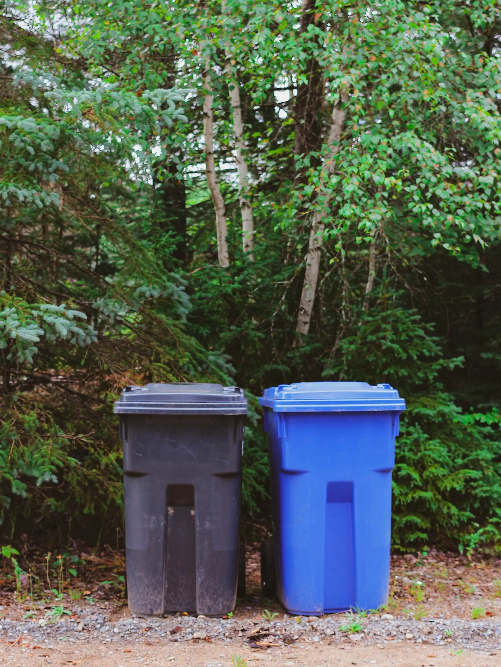 Graue und blaue Mülltonne vor einer grünen Hecke